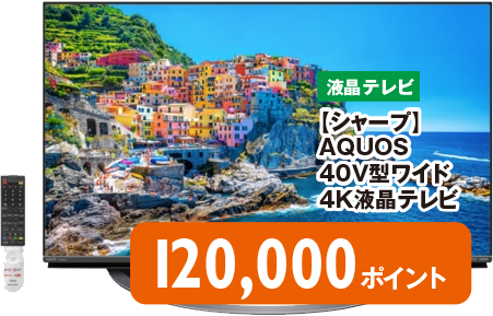 テレビ…120,000ポイント