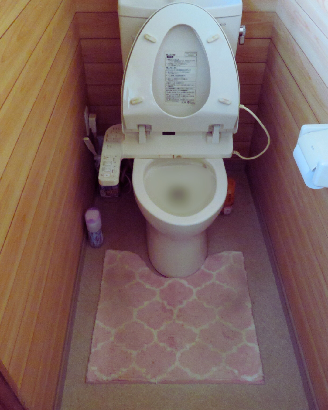 市川市古民家トイレ施工前