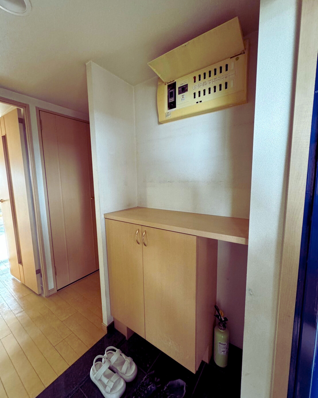 葛飾区マンション玄関施工前